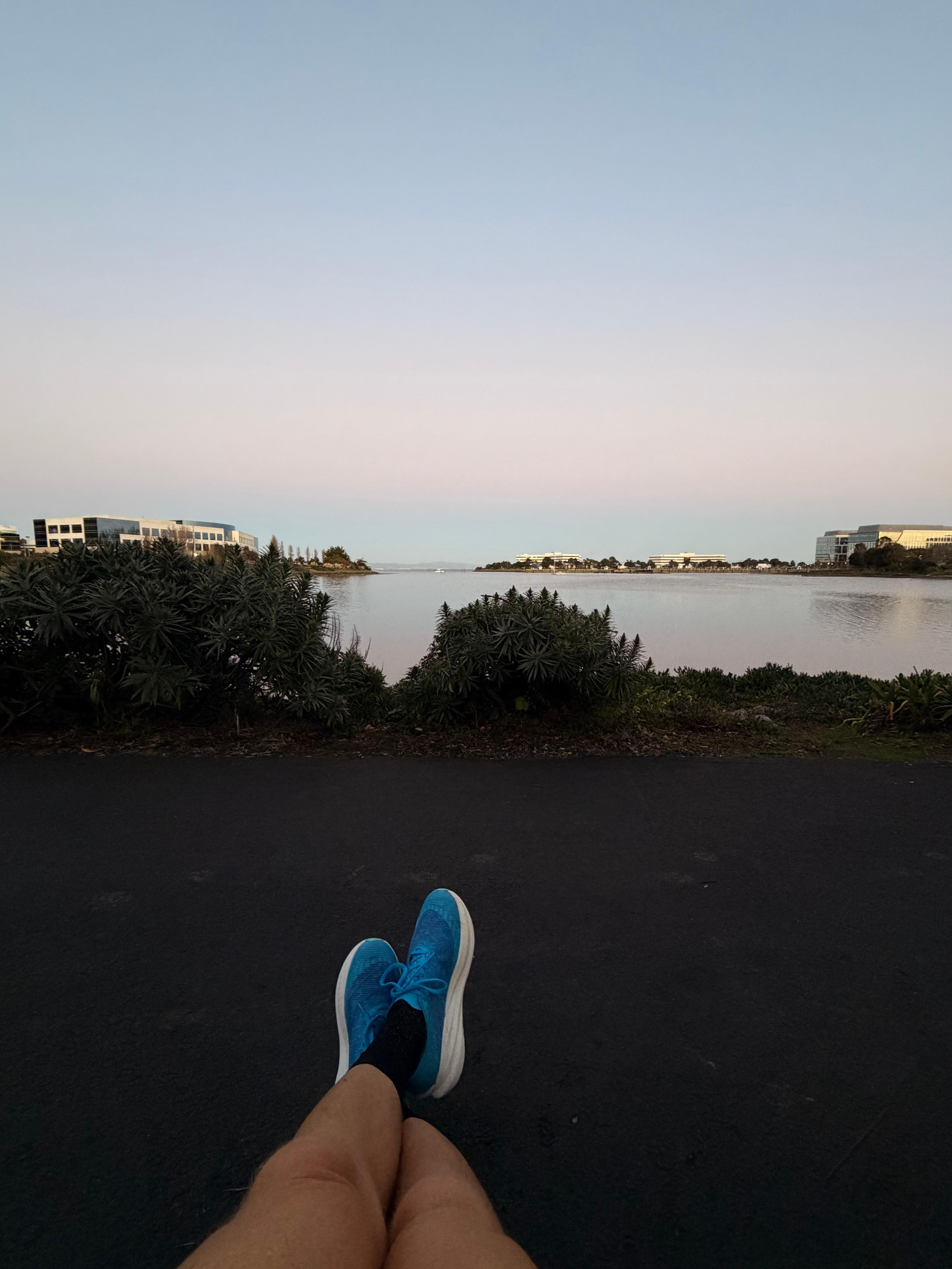 Relaxation on the SF Bay Trail right outside the hotel
