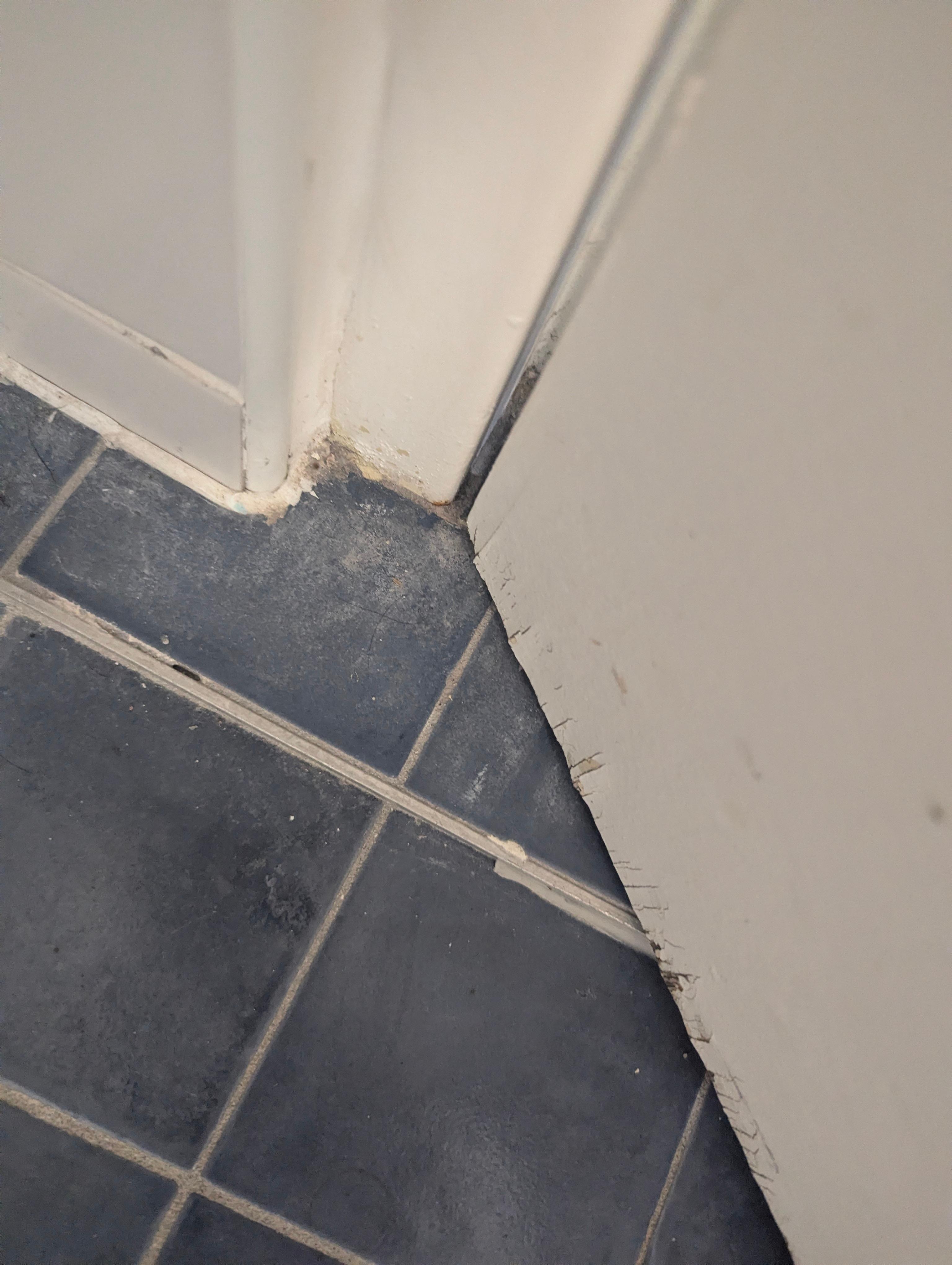 The bathroom floor and the door louvers very dirty.