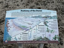 One of the interpretive signs along the boardwalk through the dunes