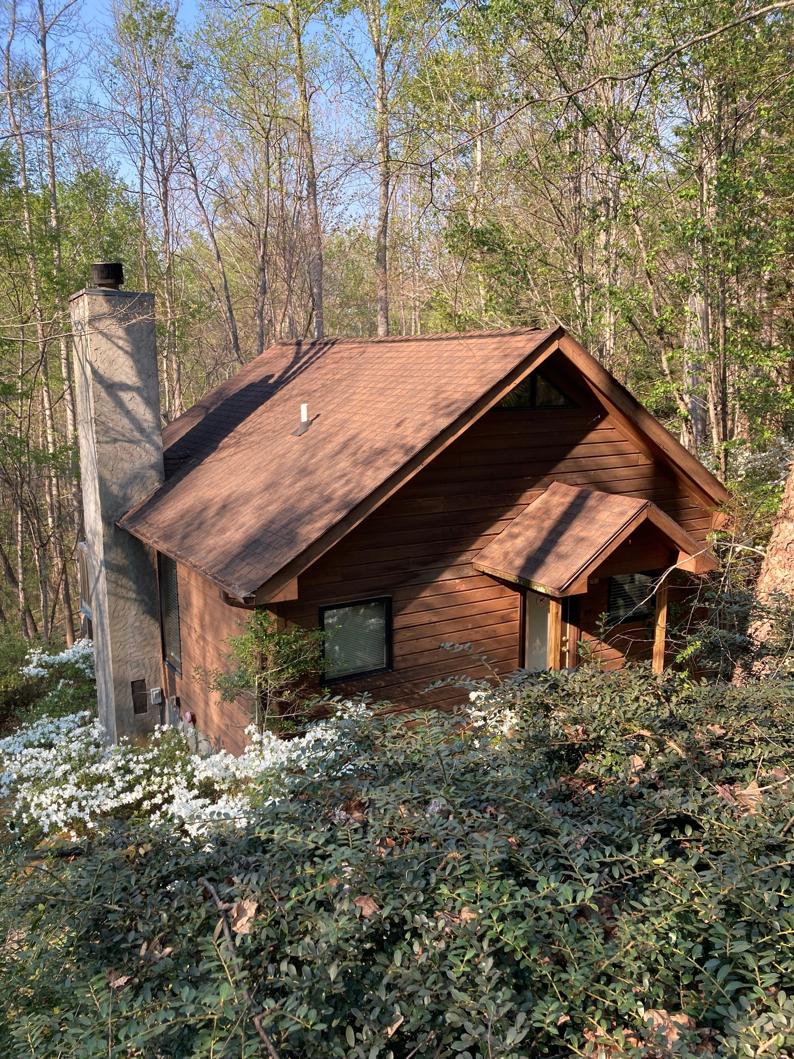 Cute cabin, be prepared for steps! Great exercise! Loved Kathy’s Cabin