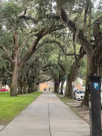 Savannah street