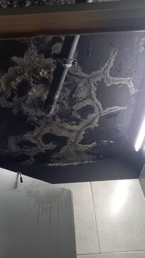 Die Feuchtigkeit über der Dusche.