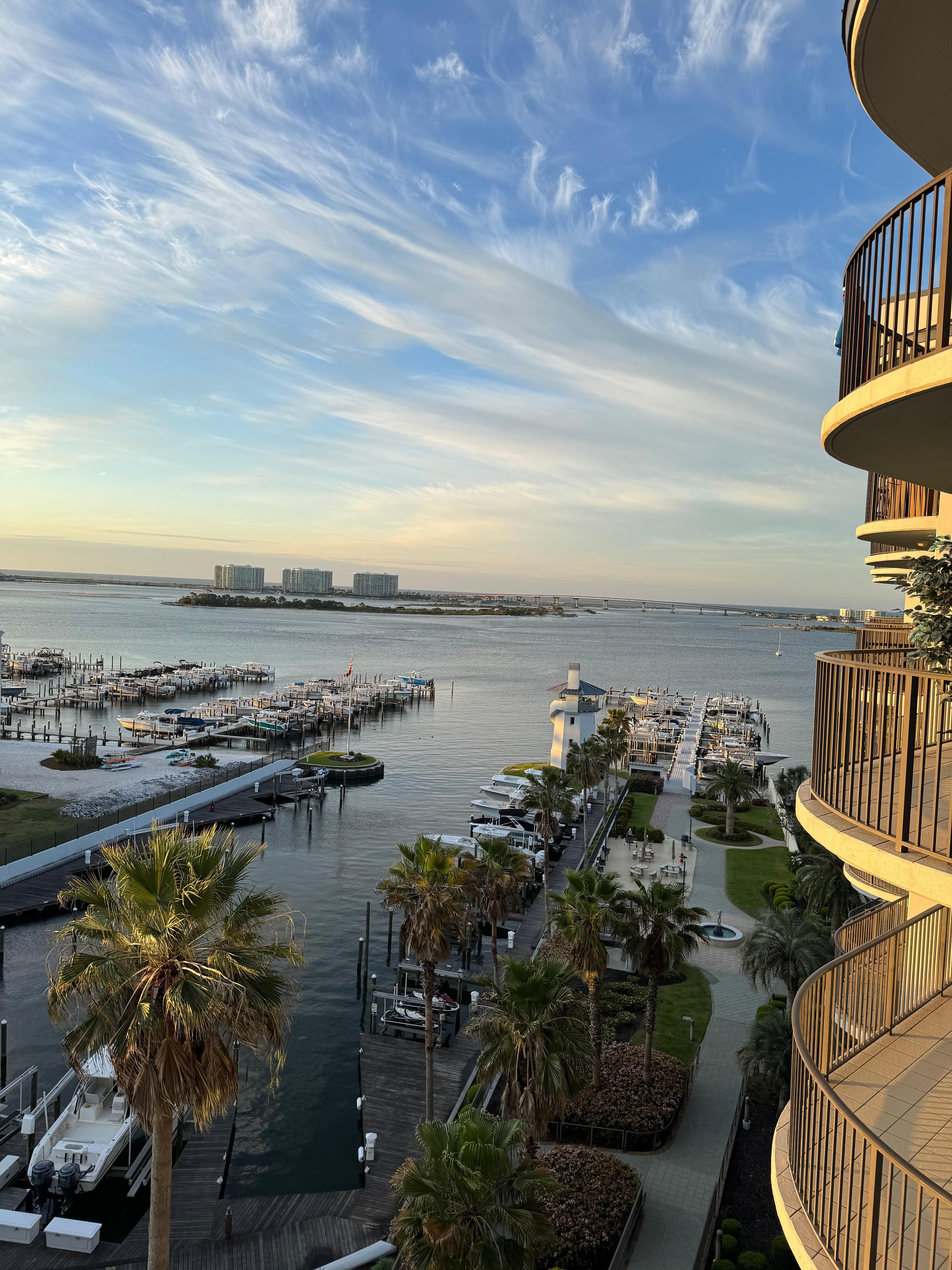 View from Balcony 