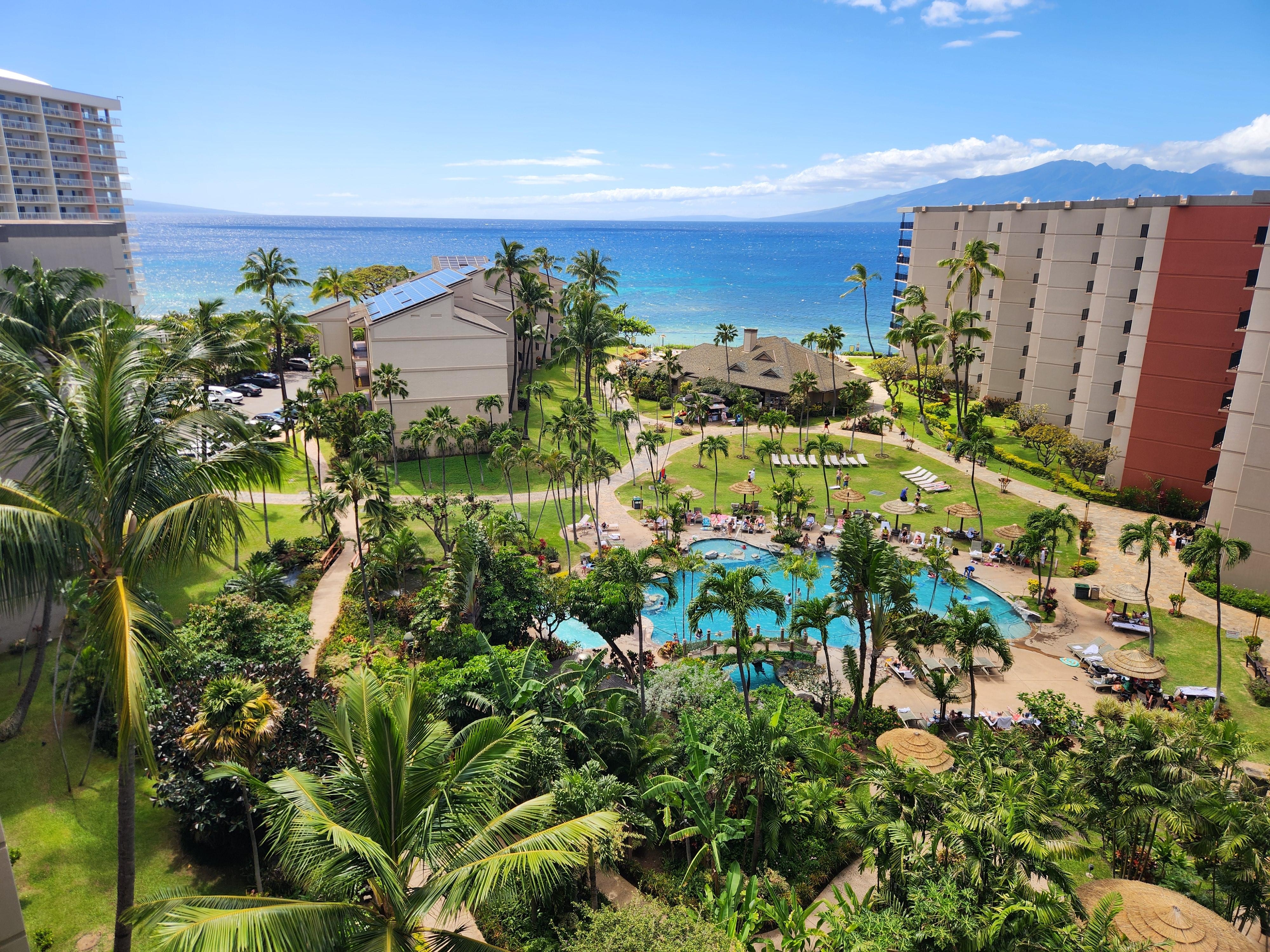 View from the lanai