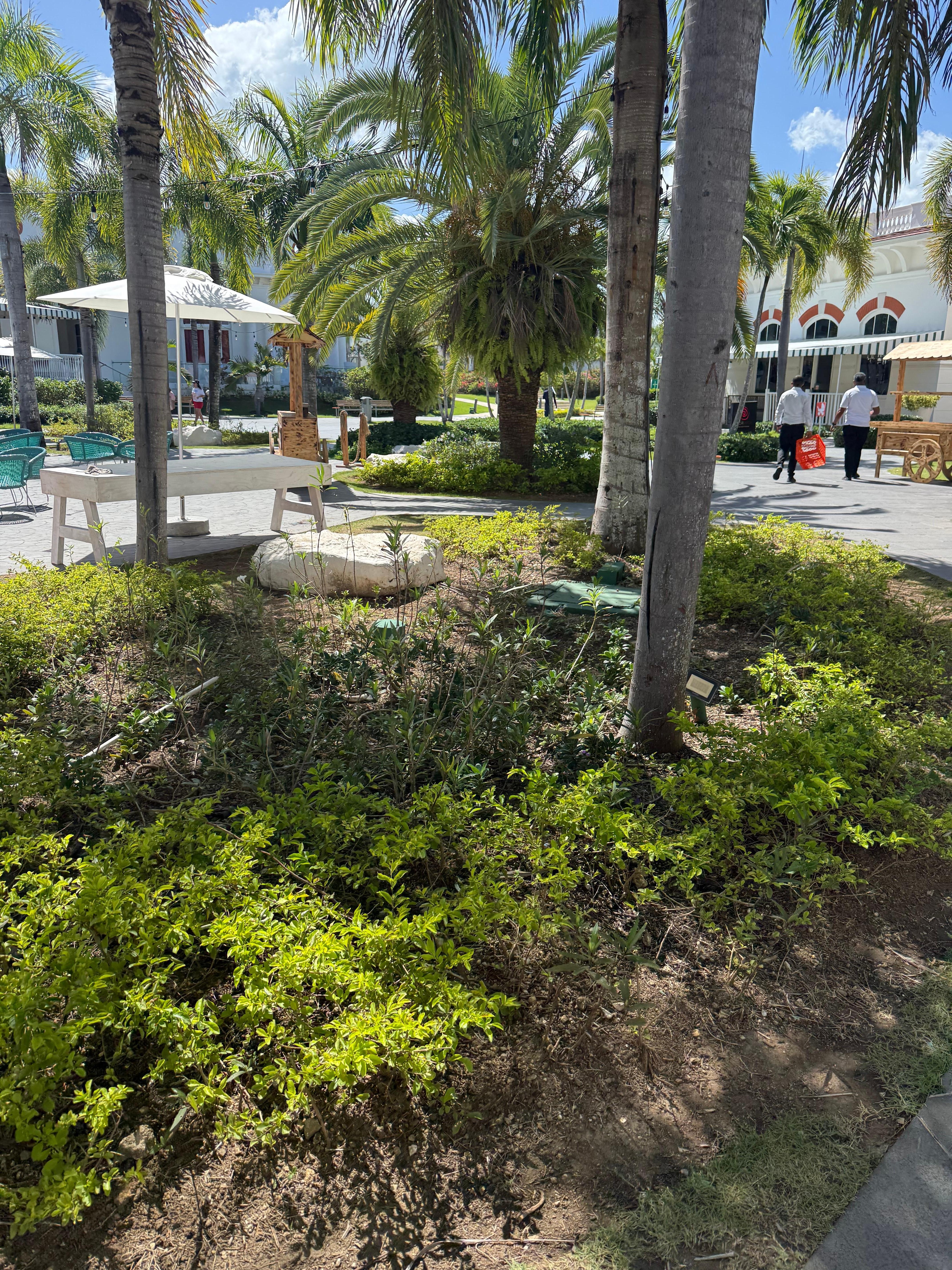 Middle of the common area 