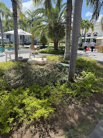 Middle of the common area