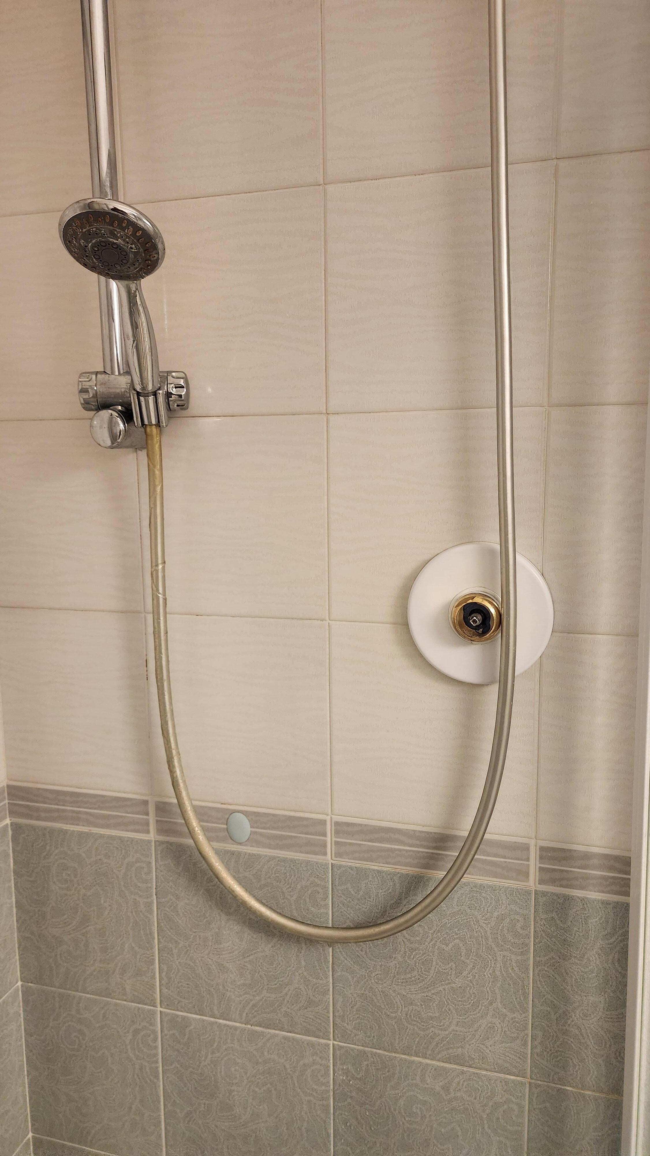 Missing and leaking shower handle