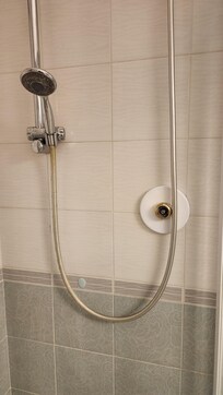 Missing and leaking shower handle