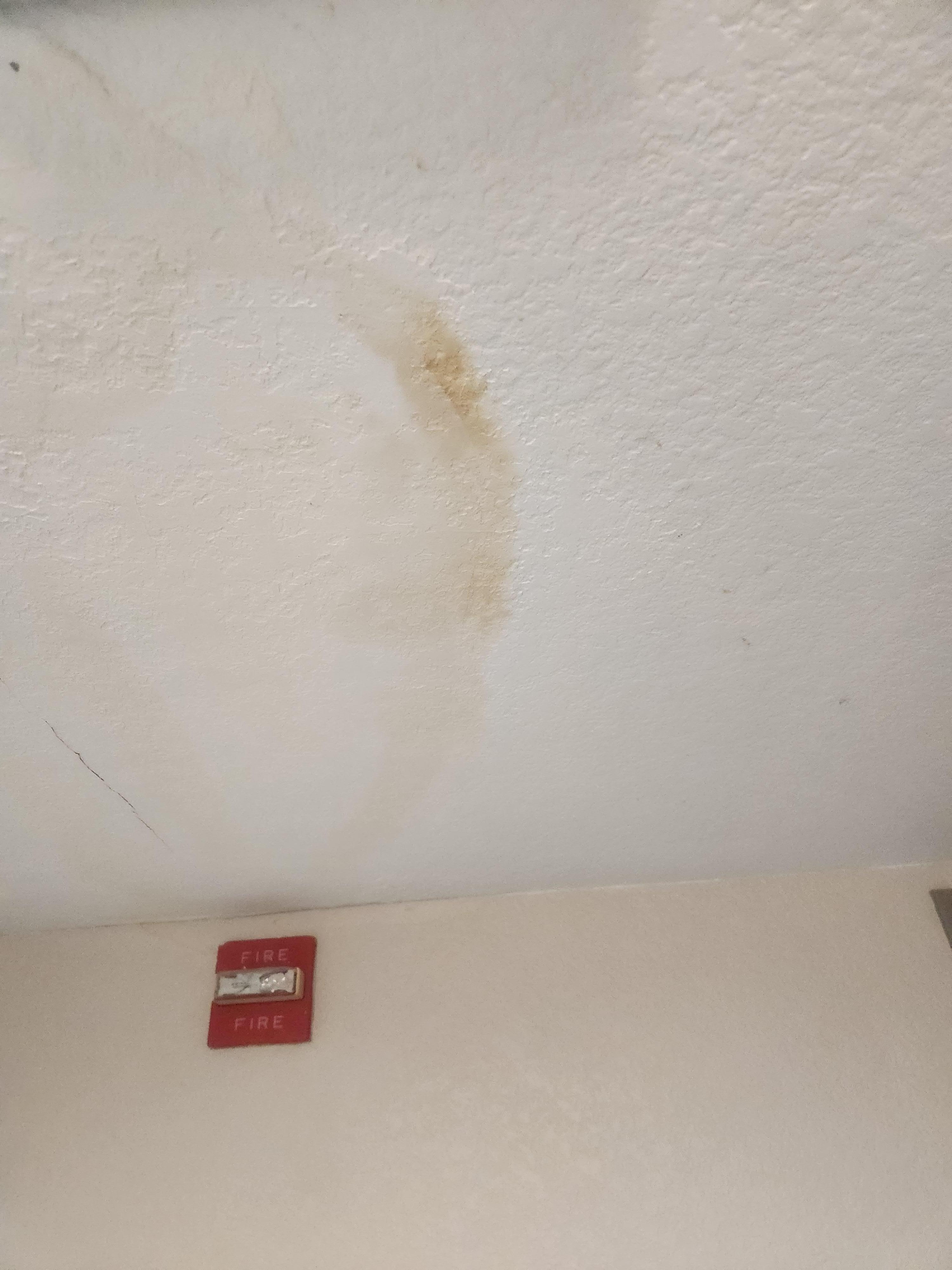 Stains on ceiling 