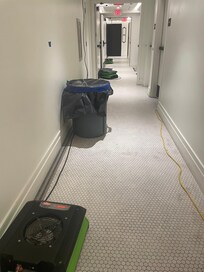 Fans everywhere in hallways but not in apartment