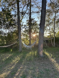 Garten hinter dem Haus