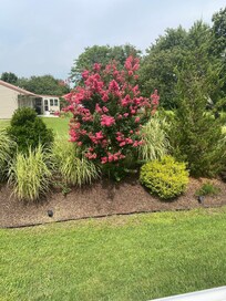 Backyard area