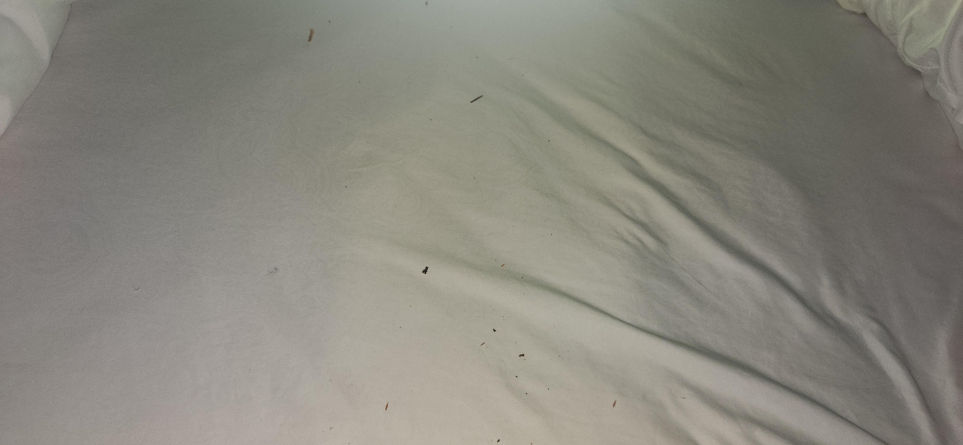Critter in the ceiling caused debri to fall on top bunk. We could not use this bed.