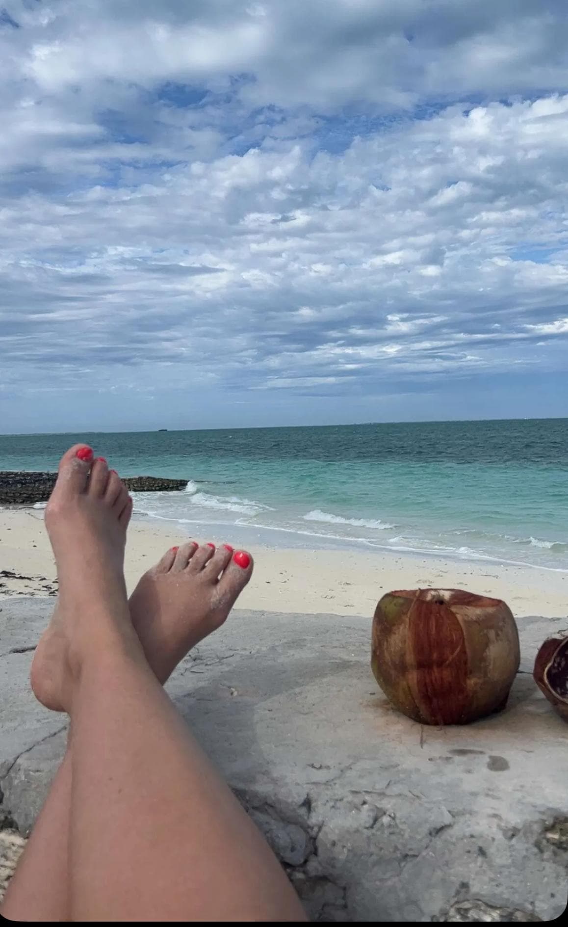 Relaxing in the backyard of the Jackson House