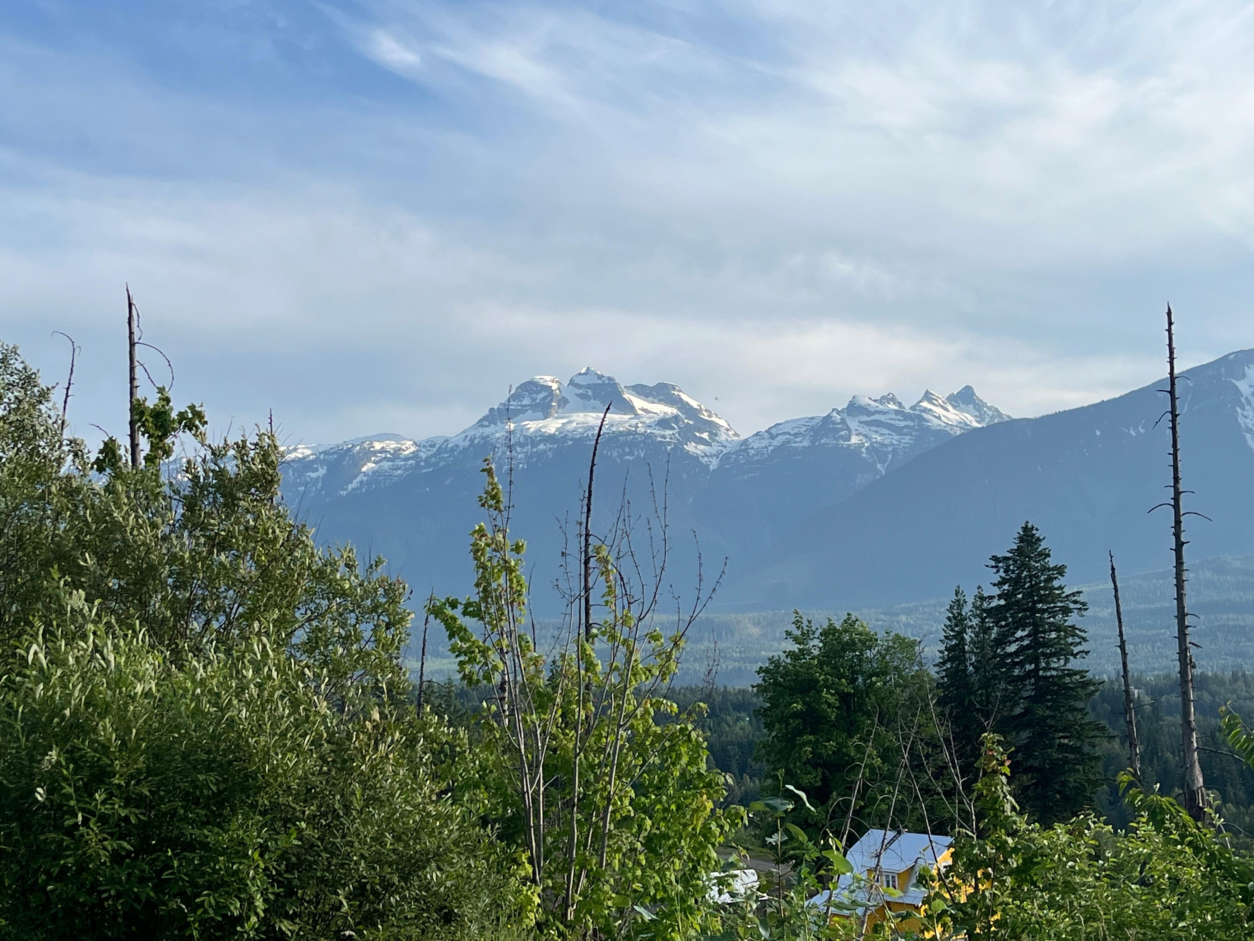 View from our window.