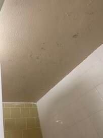 Bathroom ceiling with mold.