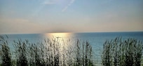 The view from the cliff