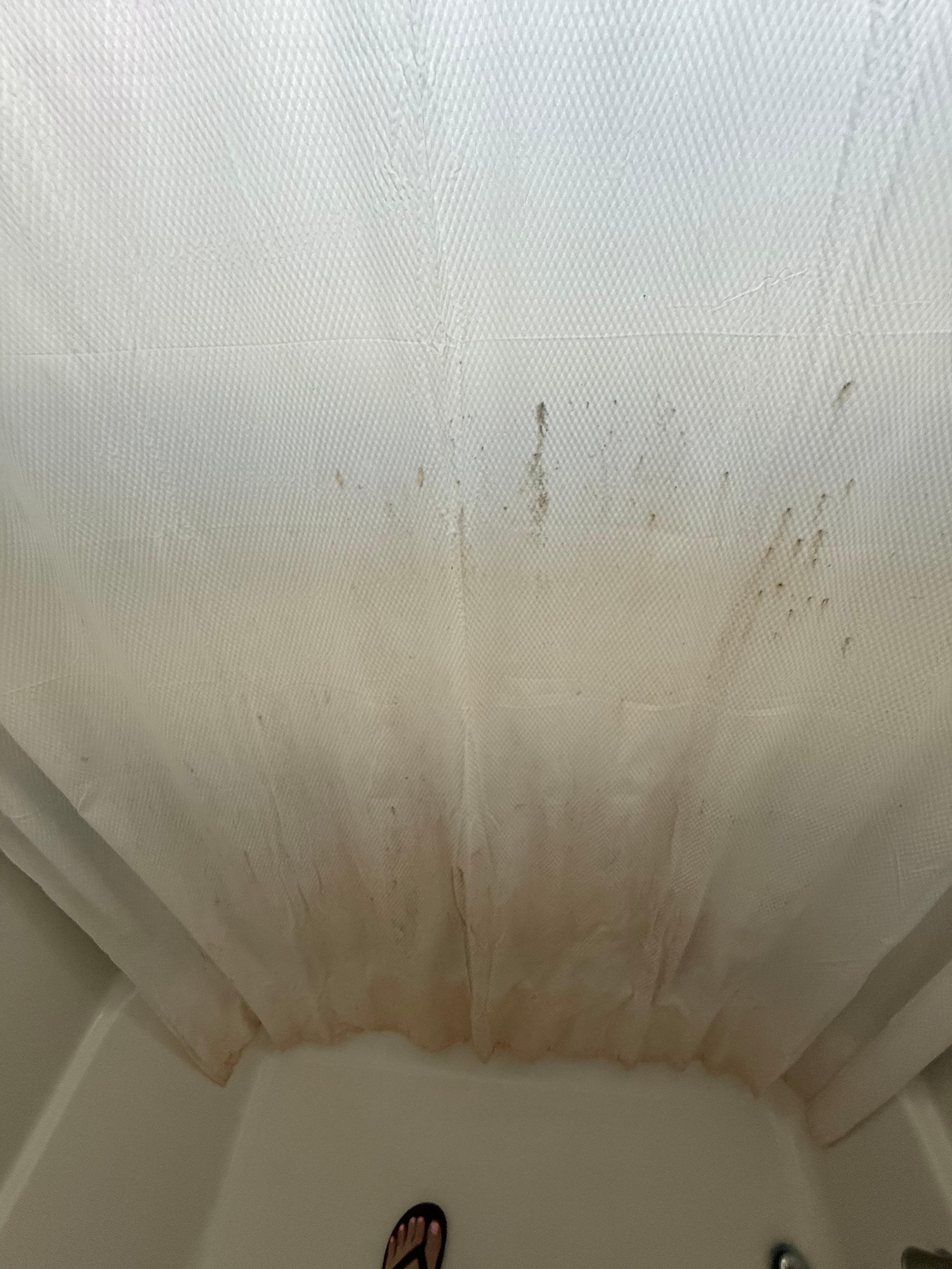 Moldy shower curtain