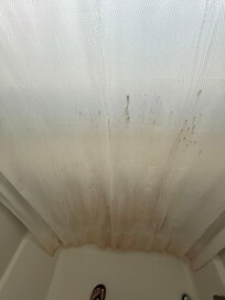 Moldy shower curtain