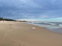 Dog beach was soo close!