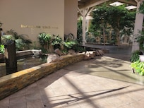Beautiful lobby filled with real plant life, waterfalls & ponds. The restaurant and bar are also in this area so you can eat & drink in a nice scenic place.