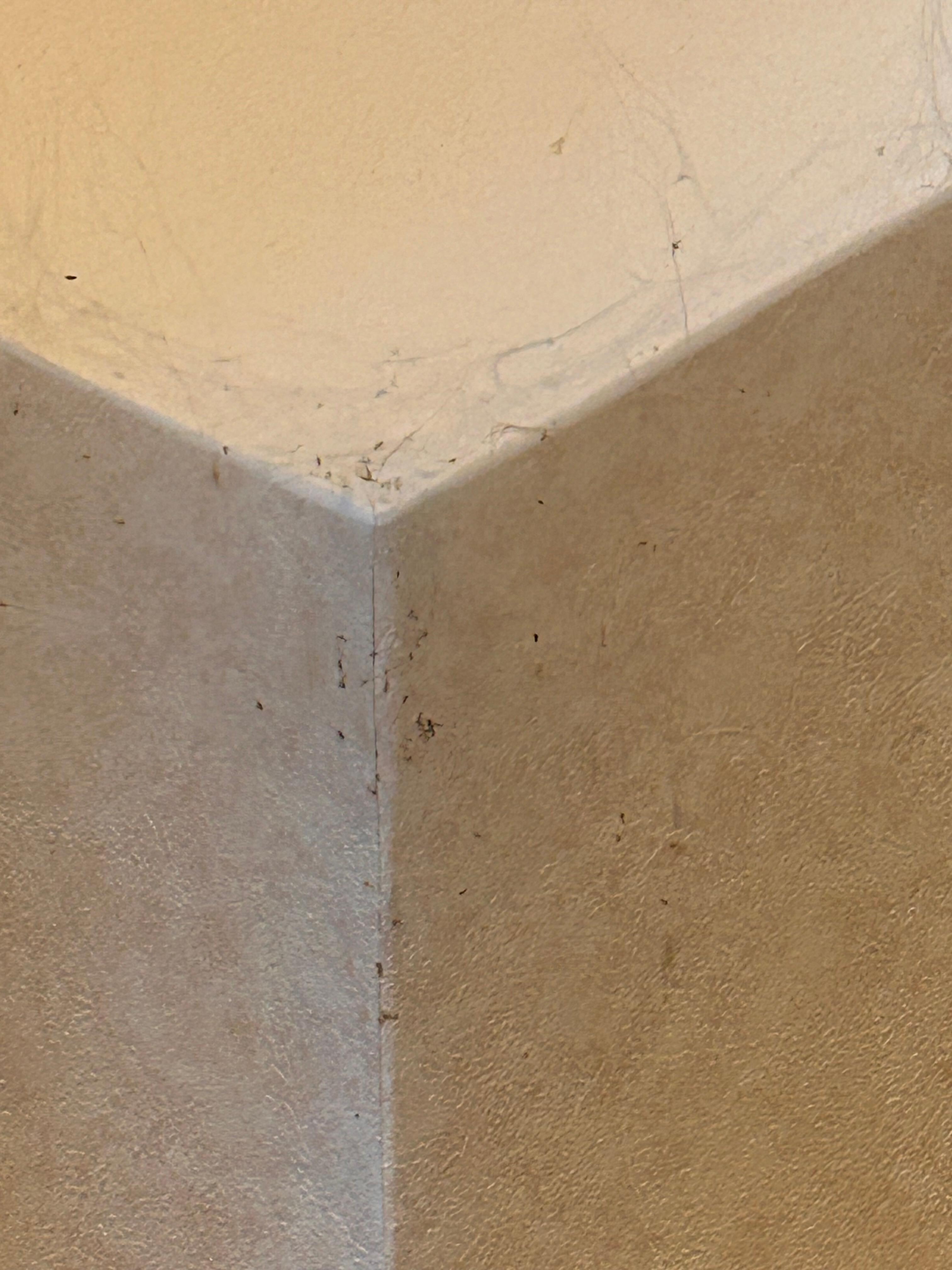 Additional corner of room