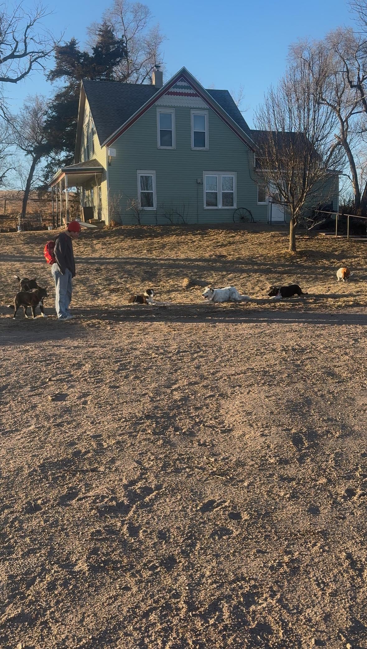 Sunrise fetch with the dogs! 