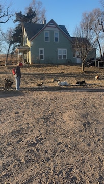 Sunrise fetch with the dogs!