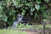 Fountains and Pools on the property.