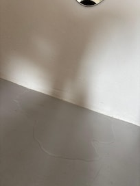 A constant puddle that would have to be cleaned up multiple times a day