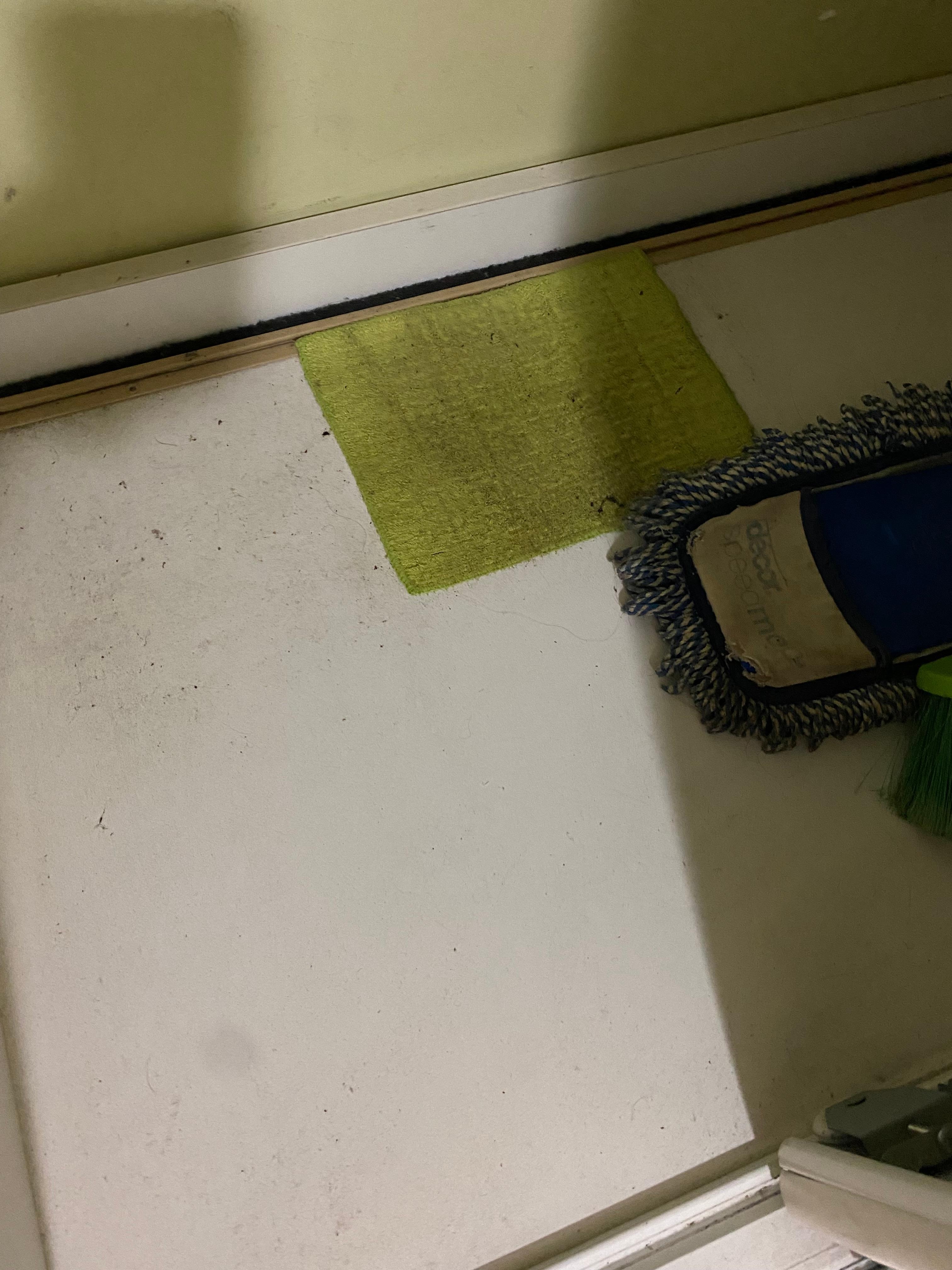 This is inside the wardrobe where the broom and mop are stored. 