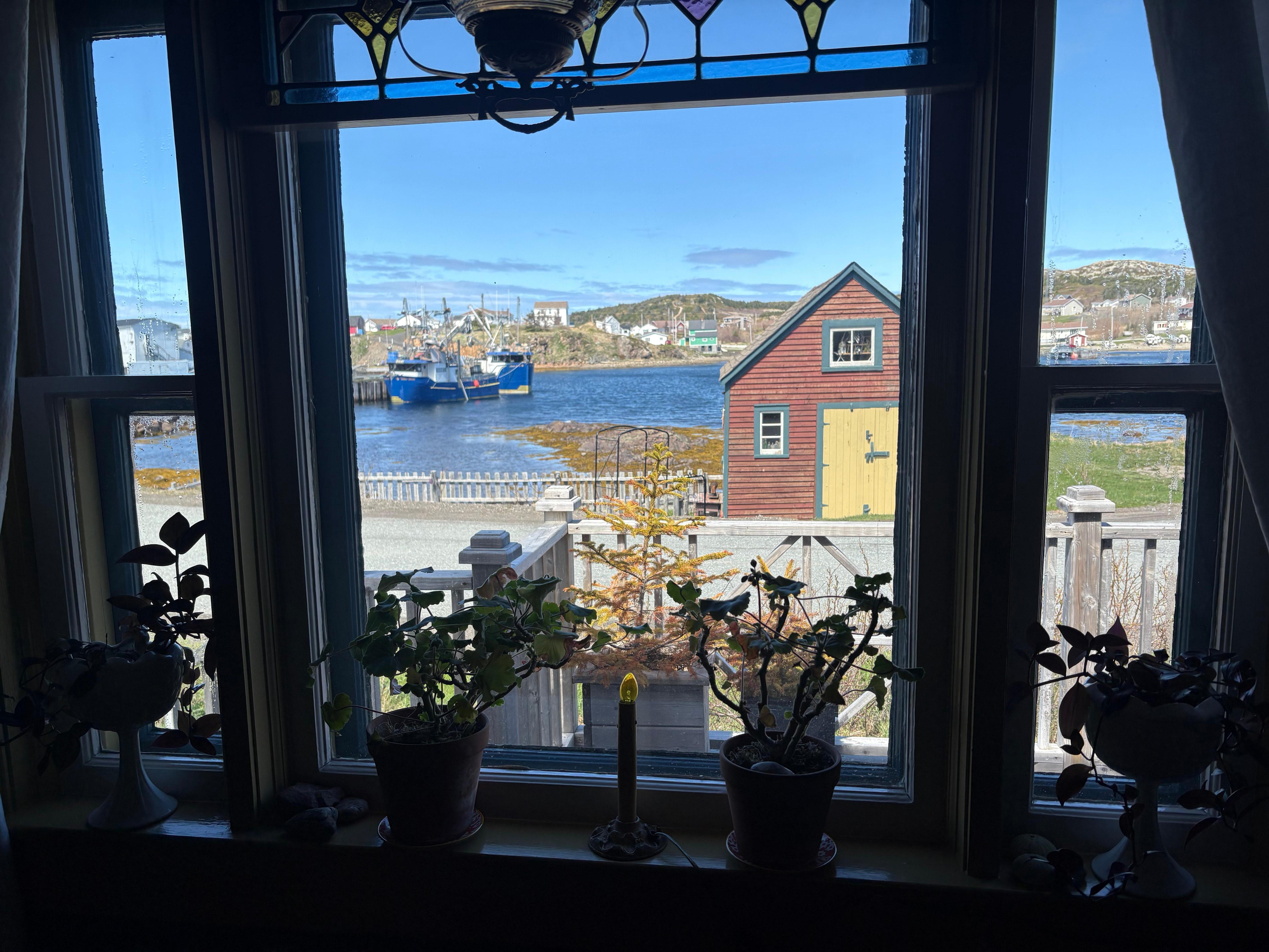 View from front window