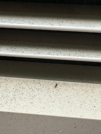 AC UNIT WITH ANTS COMING OUT