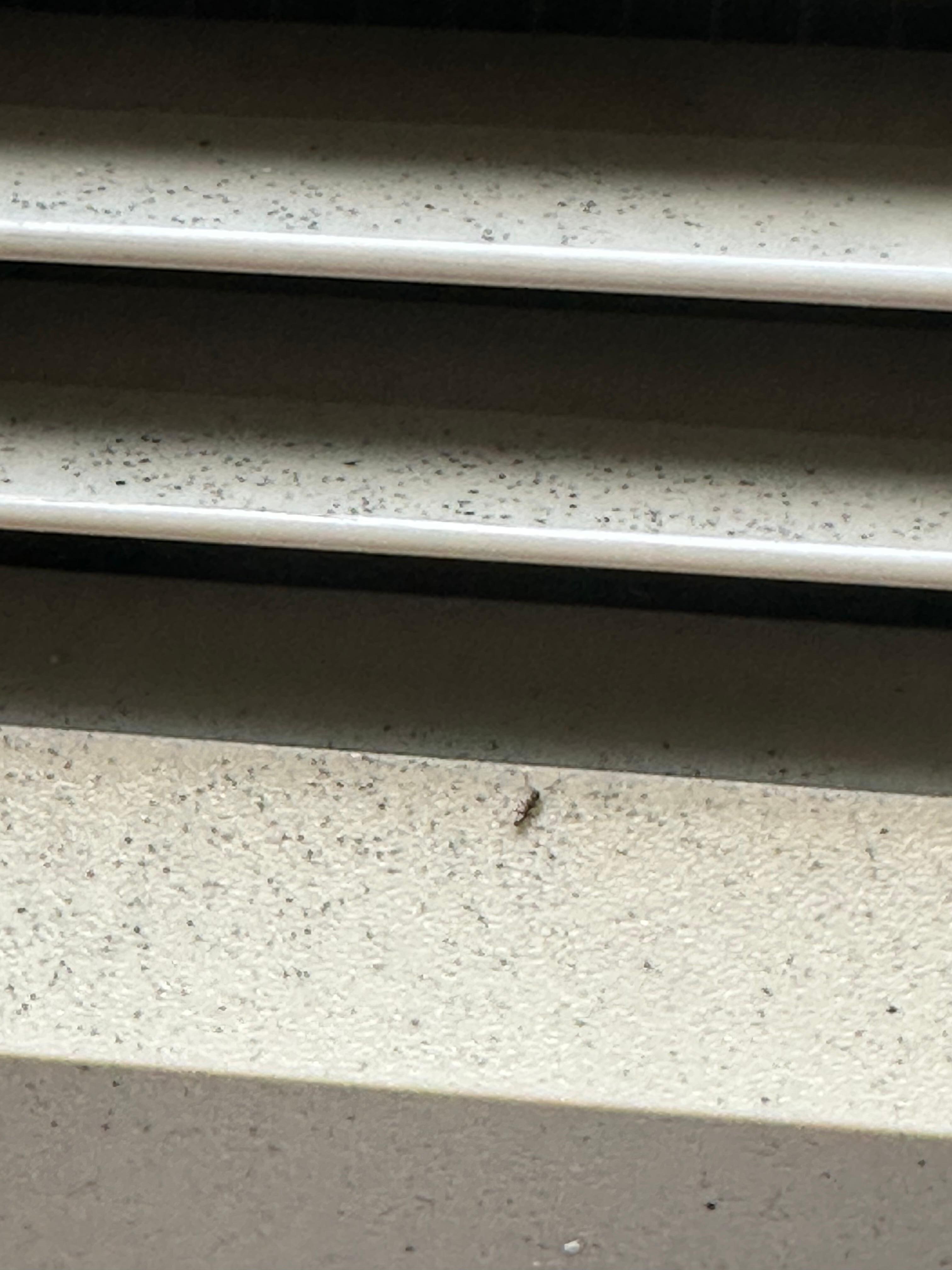 AC UNIT WITH ANTS COMING OUT