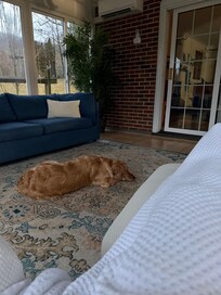 The sunroom was so cozy to have morning coffee.