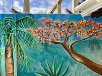 Mural around the pool with iguanas to keep us company.
