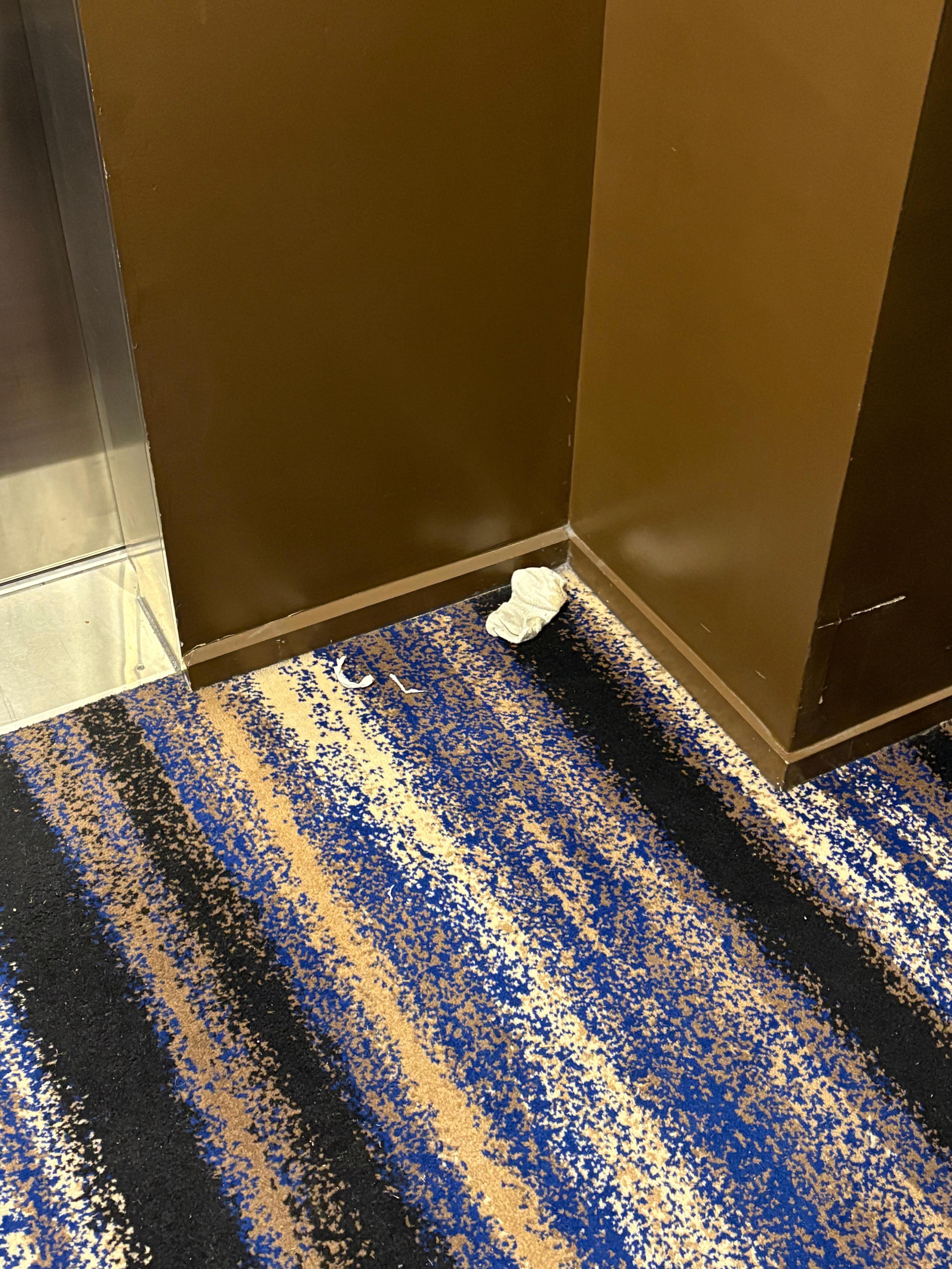 Sock in hallway stayed there the whole time