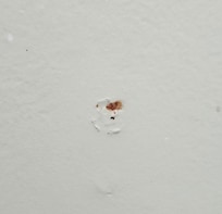 Spots/stains on walls
