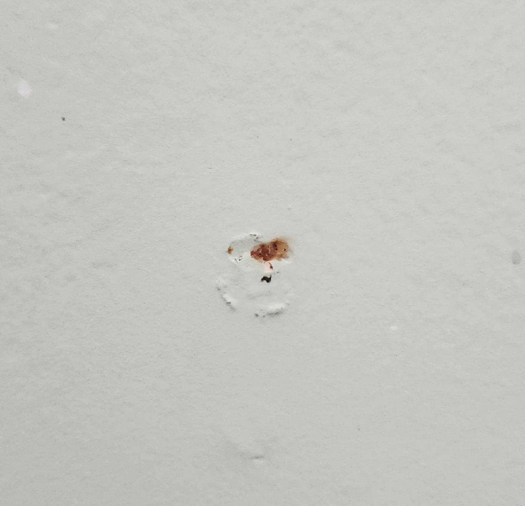 Spots/stains on walls