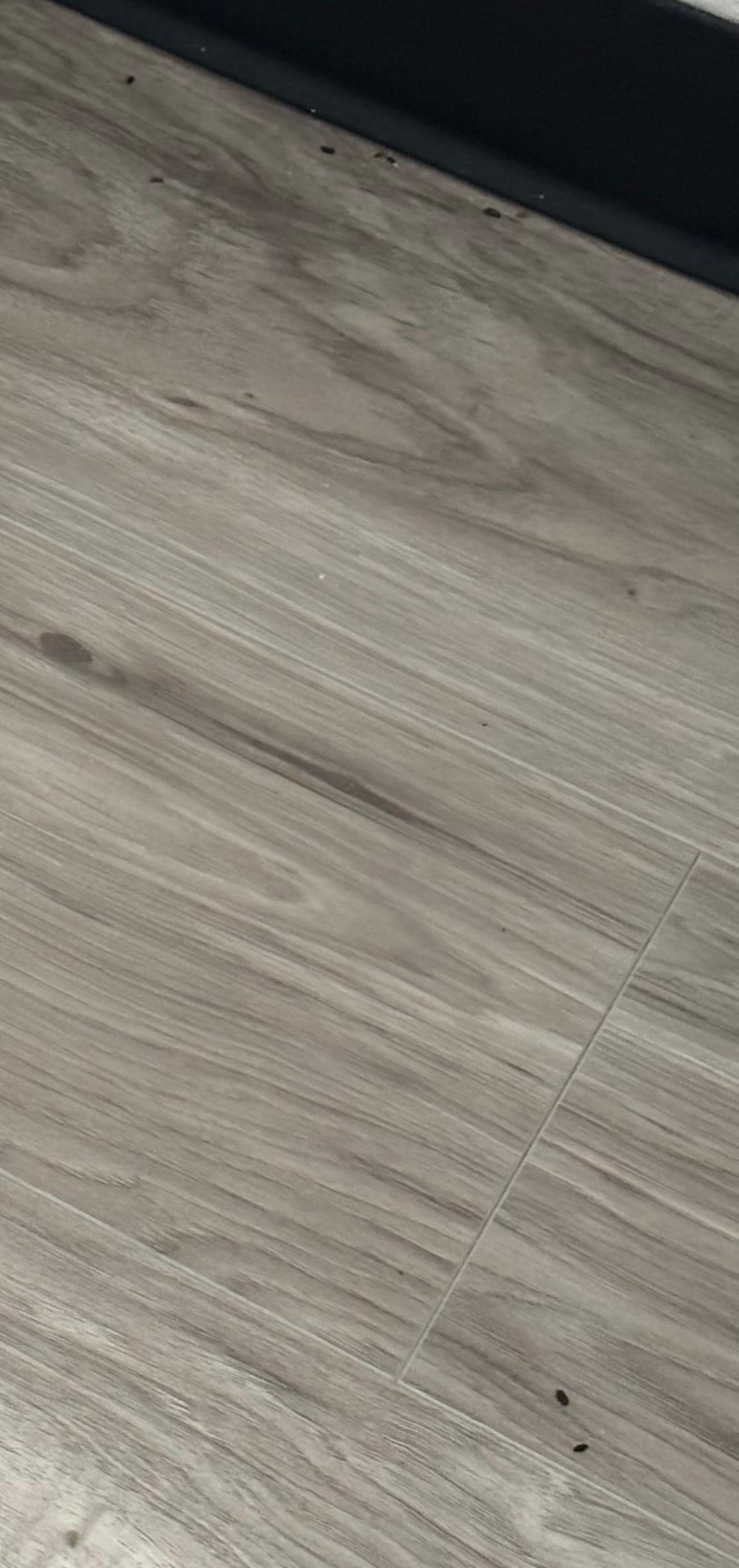 Mice droppings on the floor.