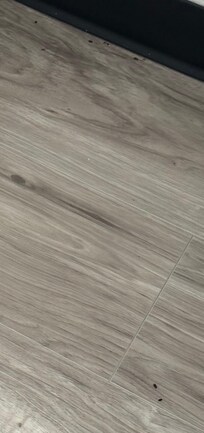 Mice droppings on the floor.