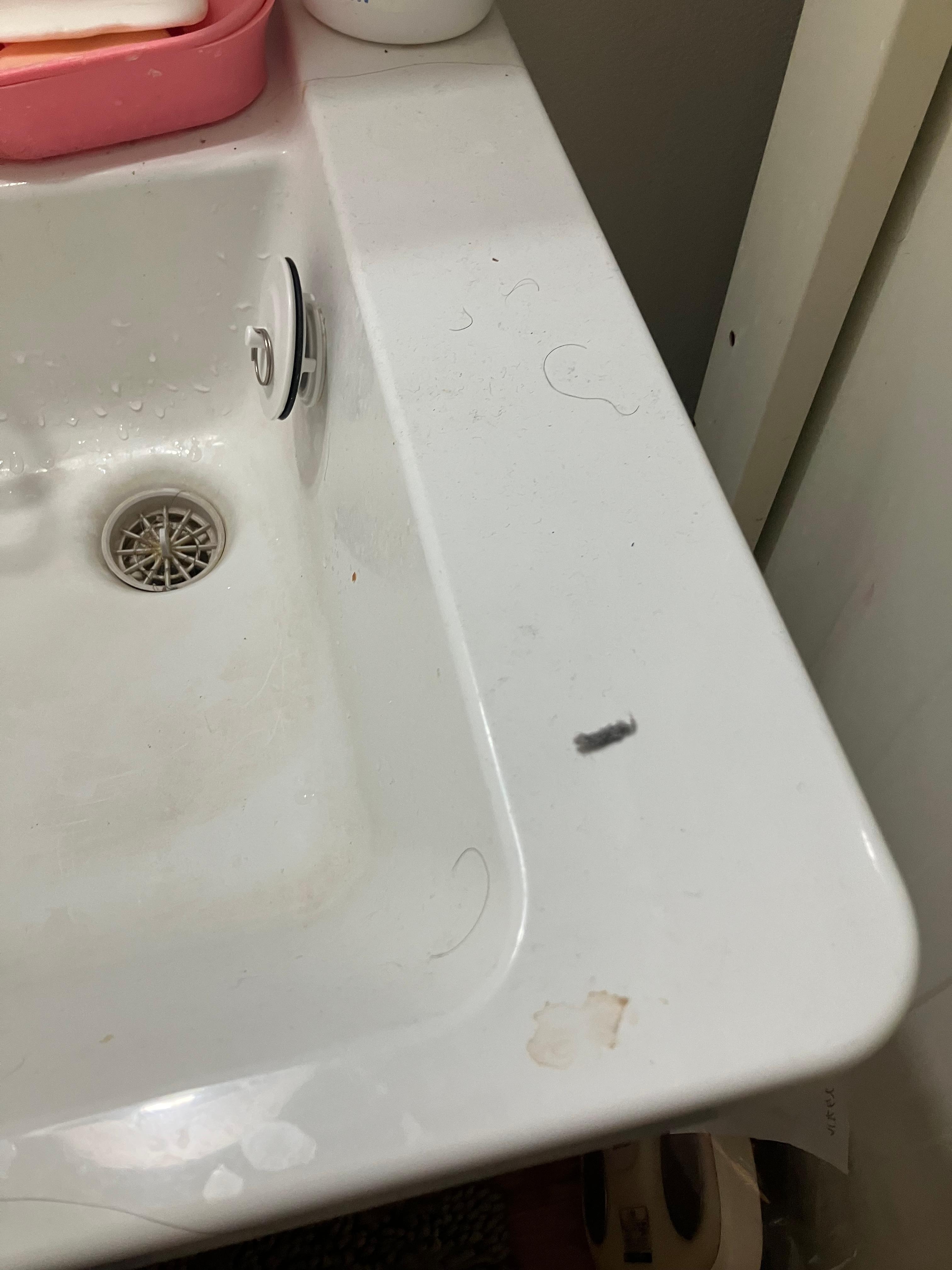 Shower sink