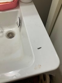 Shower sink