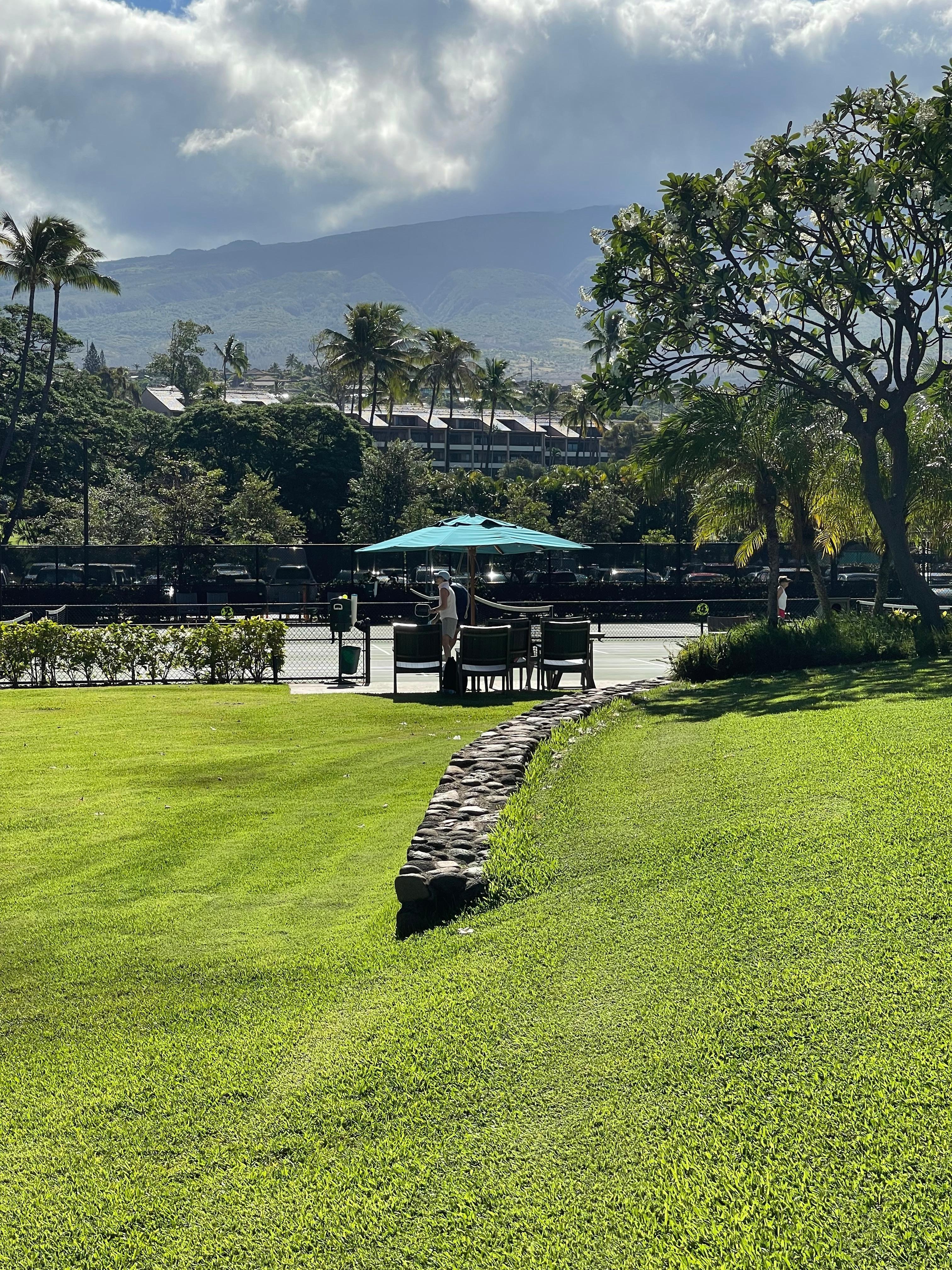 View Mauka  (Toward Mauna 'E'Eka) From The Lanai. Tennis & Pickleball Courts.