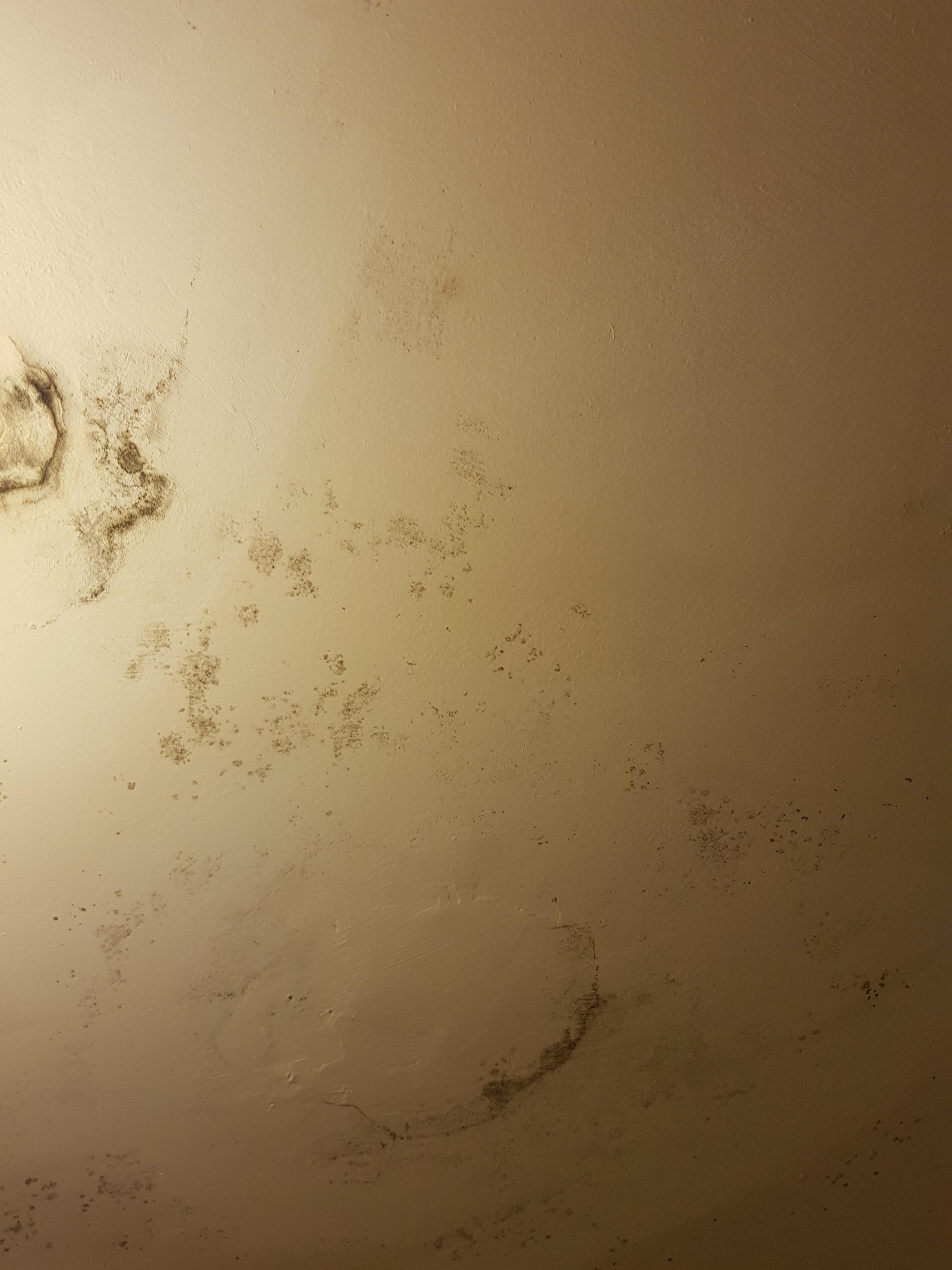 Spits and marks on walls