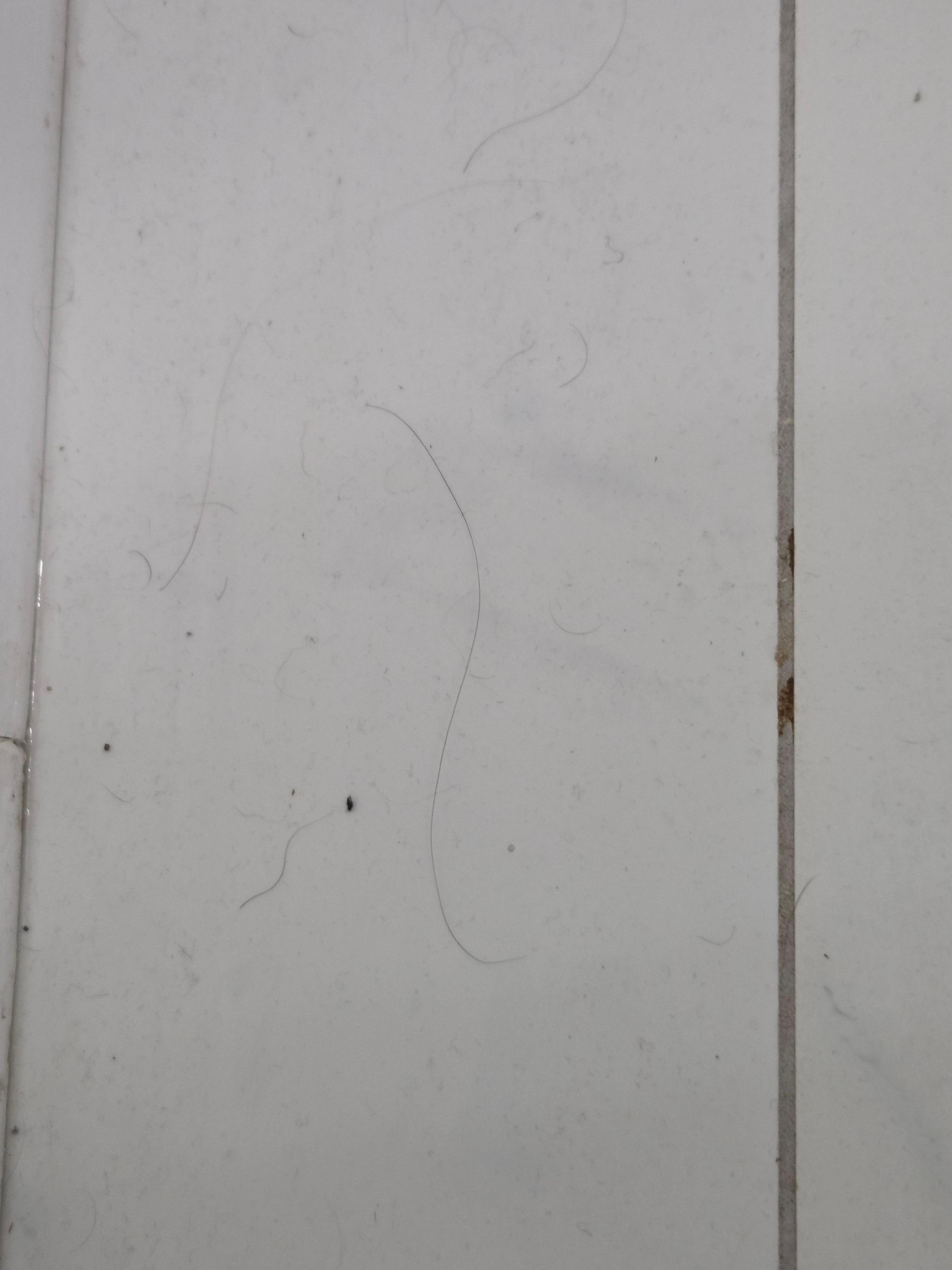 Hair on the bathroom floor upon check-in.