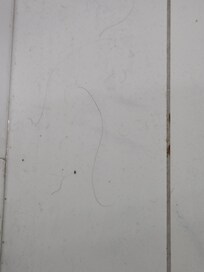 Hair on the bathroom floor upon check-in.