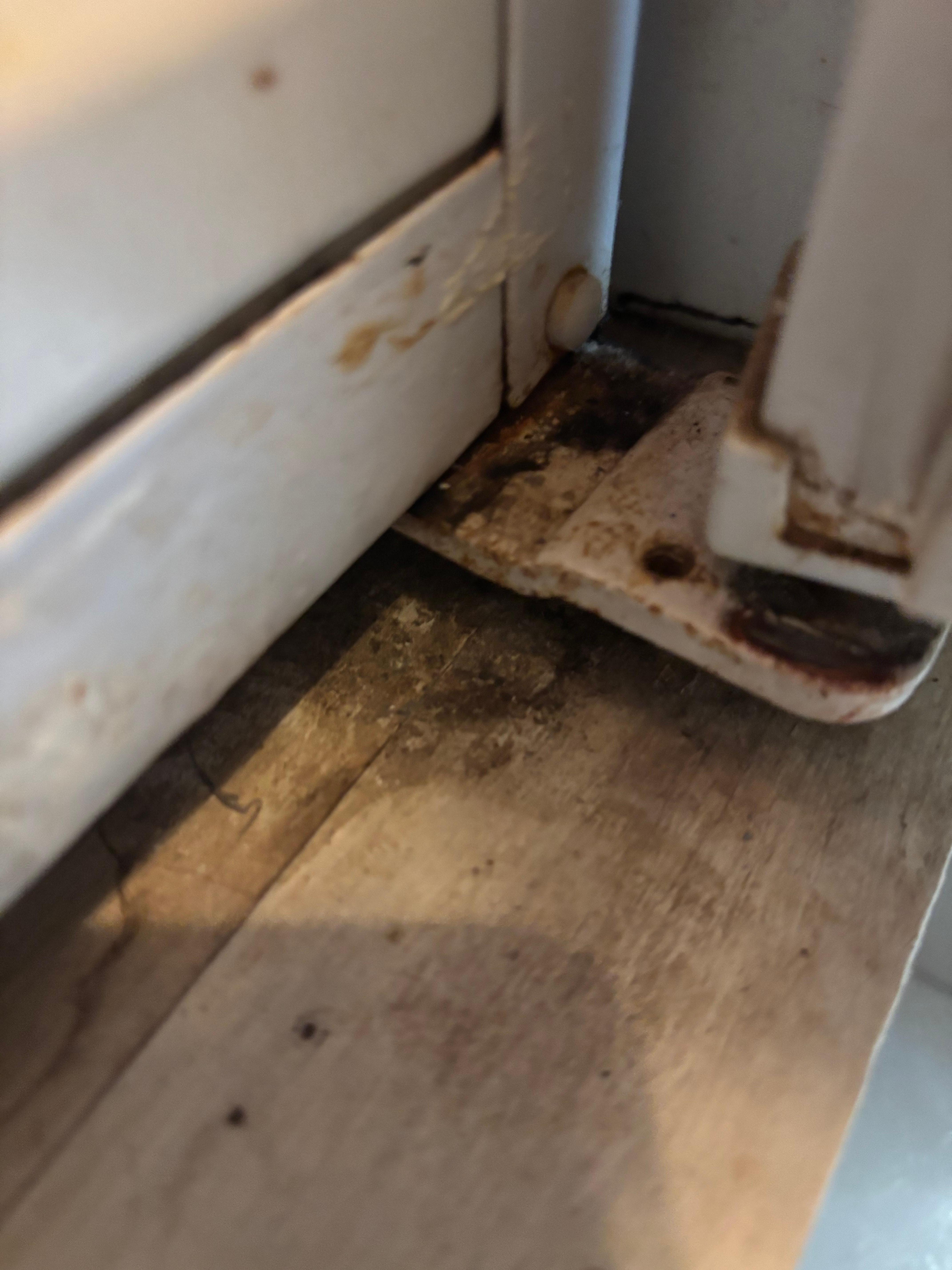 Fridge