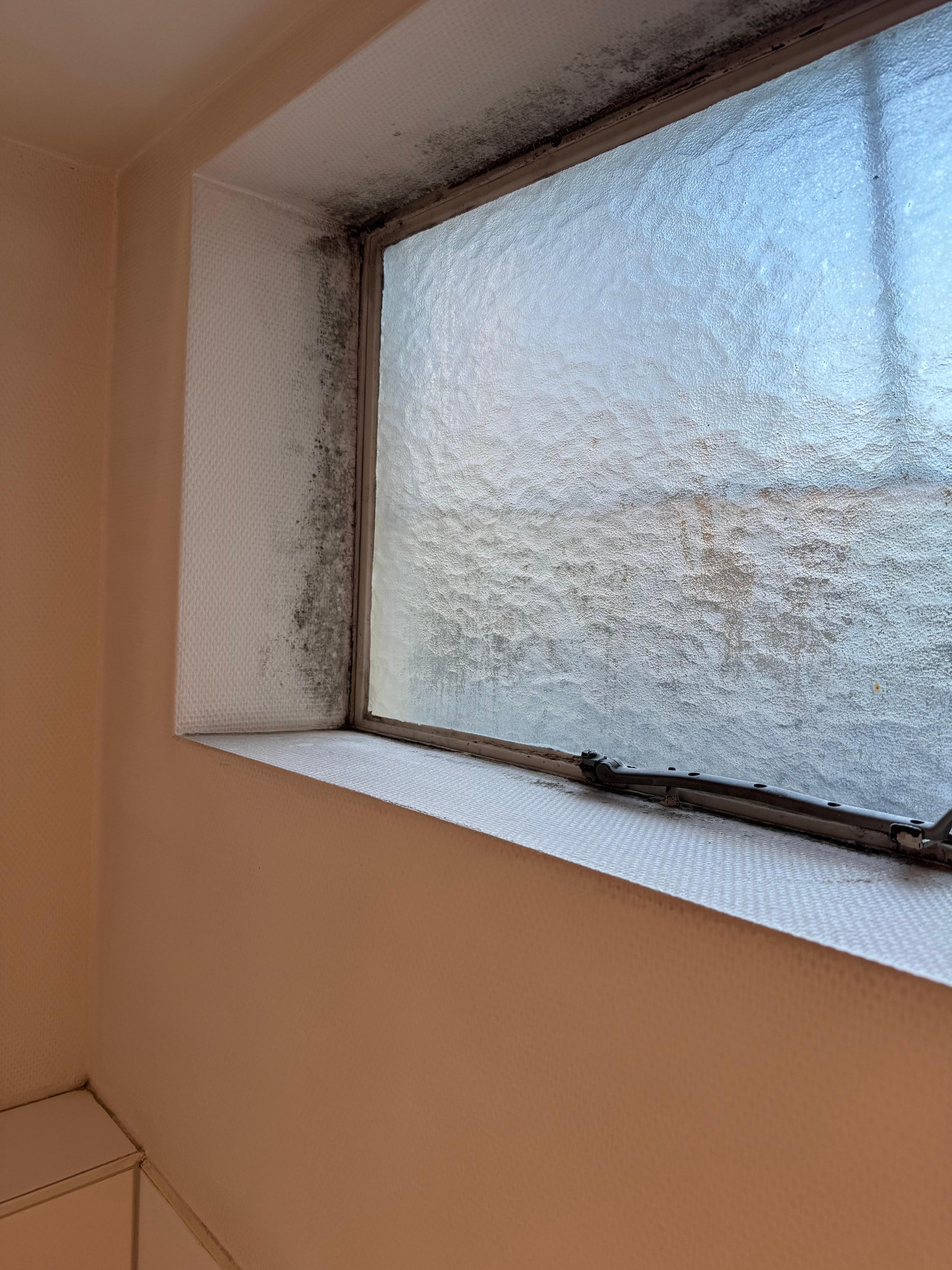 Mold growing on the window