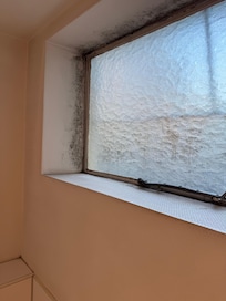Mold growing on the window